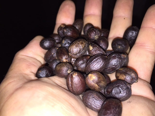 HAWAII 100% KONA NATURAL ハワイ コナ ナチュラル 中浅煎り 100g