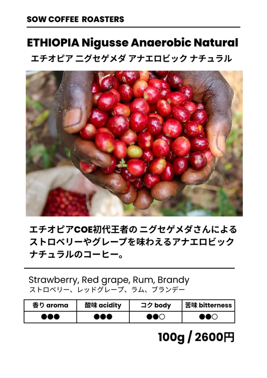 NIGUSSE ANAEROBIC NATURAL 二グセ ゲメダ アナエロビック ナチュラル エチオピア 100g(税込)