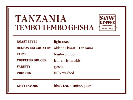 TEMBO TEMBO GEISHA テンボテンボ ゲイシャ タンザニア 浅煎り 100g