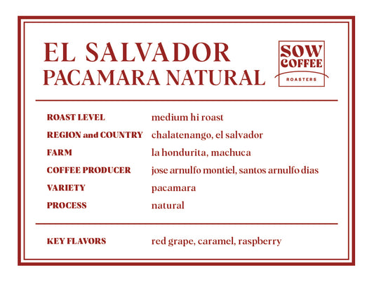 PACAMARA NATURAL パカマラナチュラル エルサルバドル 中浅煎り 150g