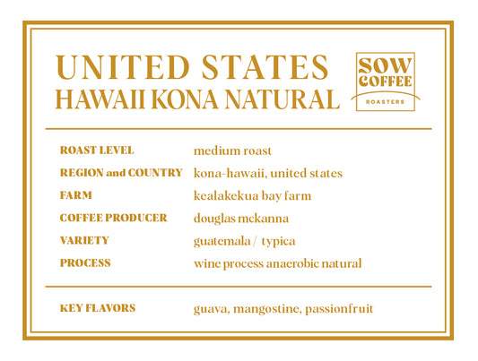 HAWAII 100% KONA NATURAL ハワイ コナ ナチュラル 中浅煎り 100g