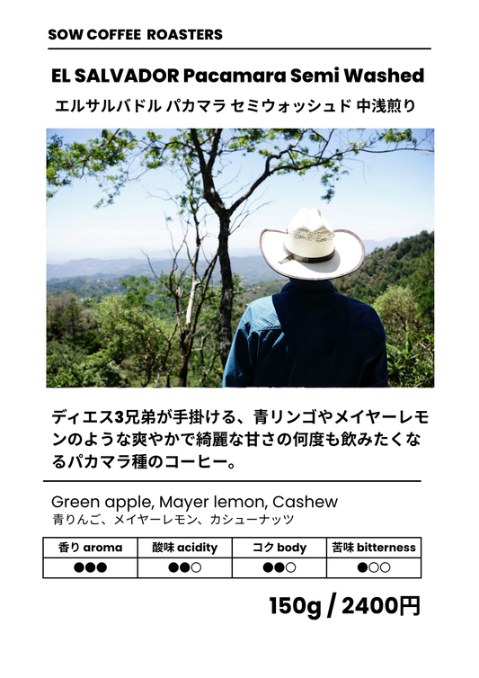 PACAMARA SEMII-WASHED パカマラ セミウォッシュド エルサルバドル 中浅煎り 150g(税込)