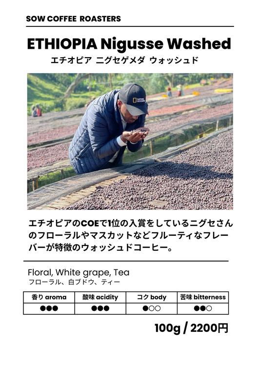 NIGUSSE KARAMO WASHED 二グセゲメダ カラモ ウォッシュド エチオピア 浅煎り 100g(税込)