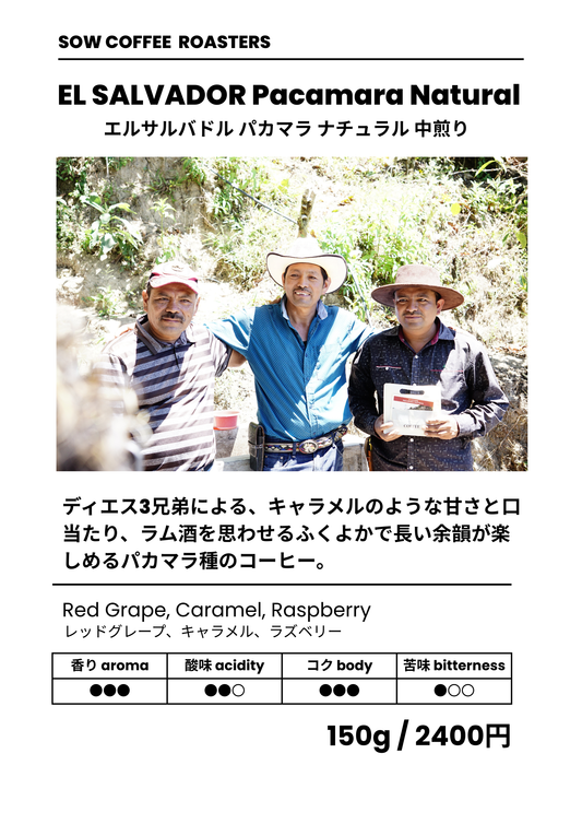 PACAMARA NATURAL パカマラナチュラル エルサルバドル 中浅煎り 150g(税込)