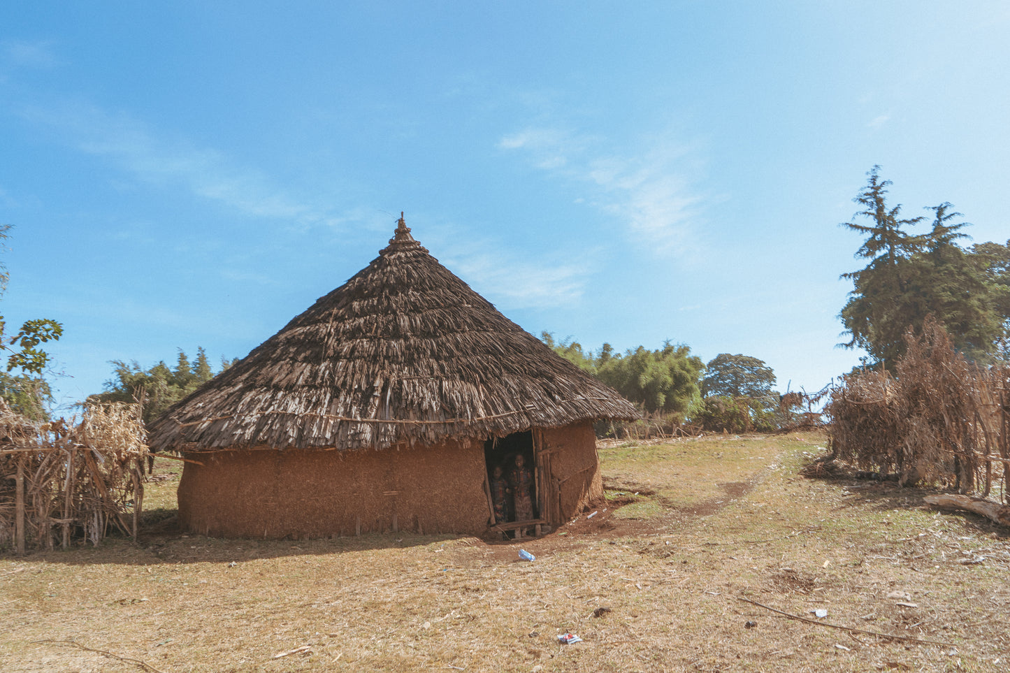 DICAFE ETHIOPEA SIDAMO